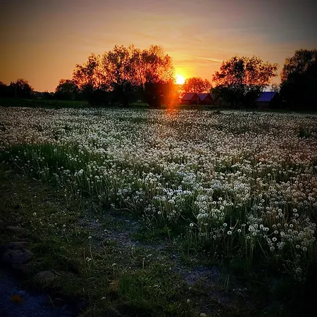 Mkj Mireno Pensjonat