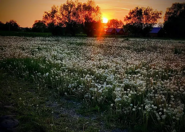 Mkj Mireno 招待所